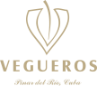 Hierro-Vegueros-108x95